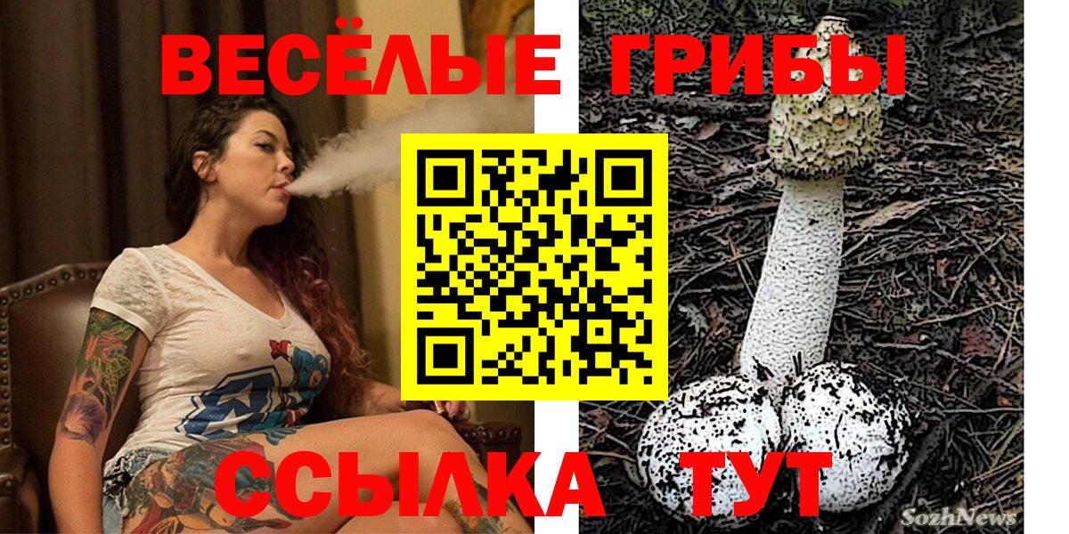 Полевской  Галлюциногенные грибы прущие грибы  Вход с VPN 